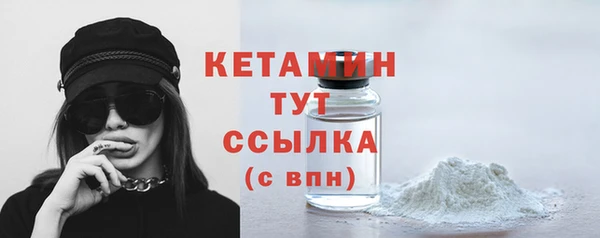 шишки Мурманск