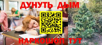 СК Абинск