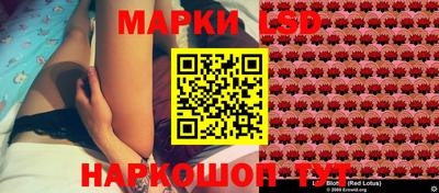 СК Абакан