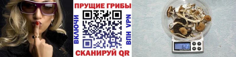 Галлюциногенные грибы ЛСД  Апатиты 