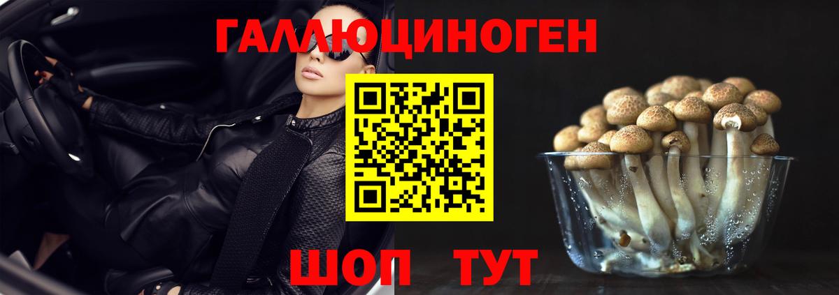 Галлюциногенные грибы мицелий Апатиты